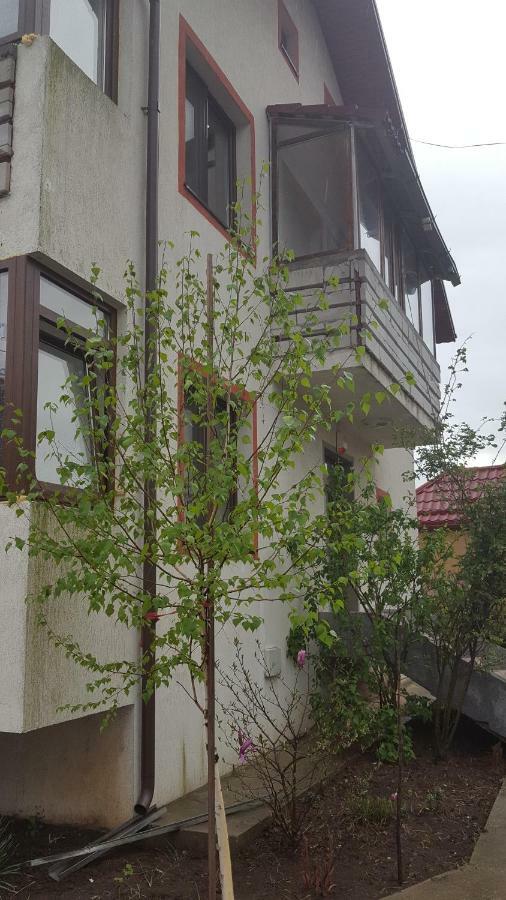 RoşuCasa Soareluiアパートメント エクステリア 写真