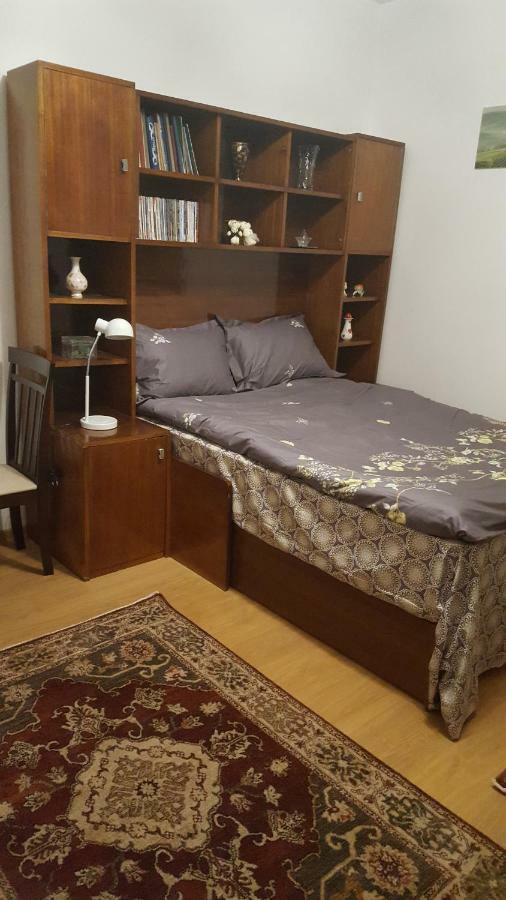 RoşuCasa Soareluiアパートメント エクステリア 写真