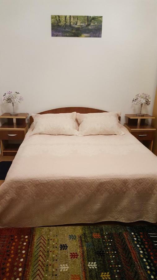 RoşuCasa Soareluiアパートメント エクステリア 写真