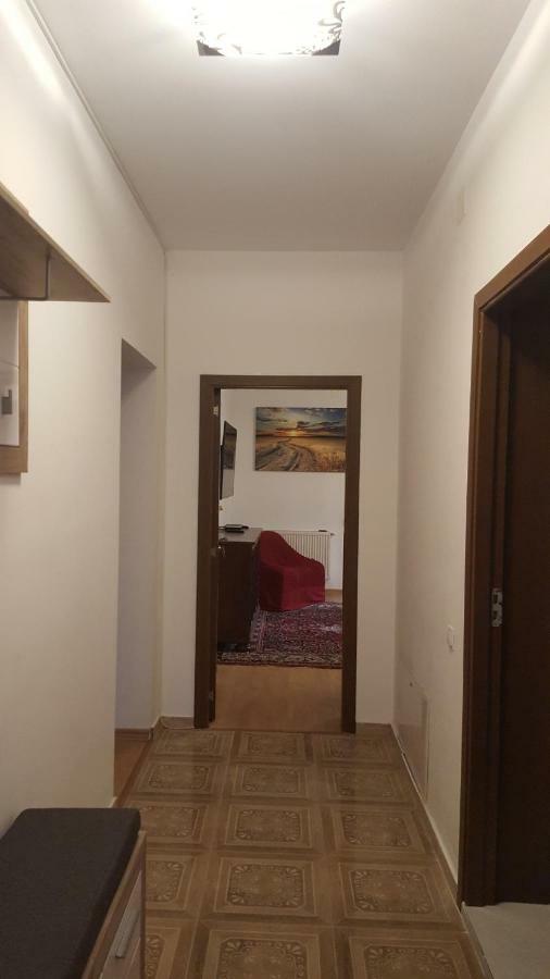 RoşuCasa Soareluiアパートメント エクステリア 写真