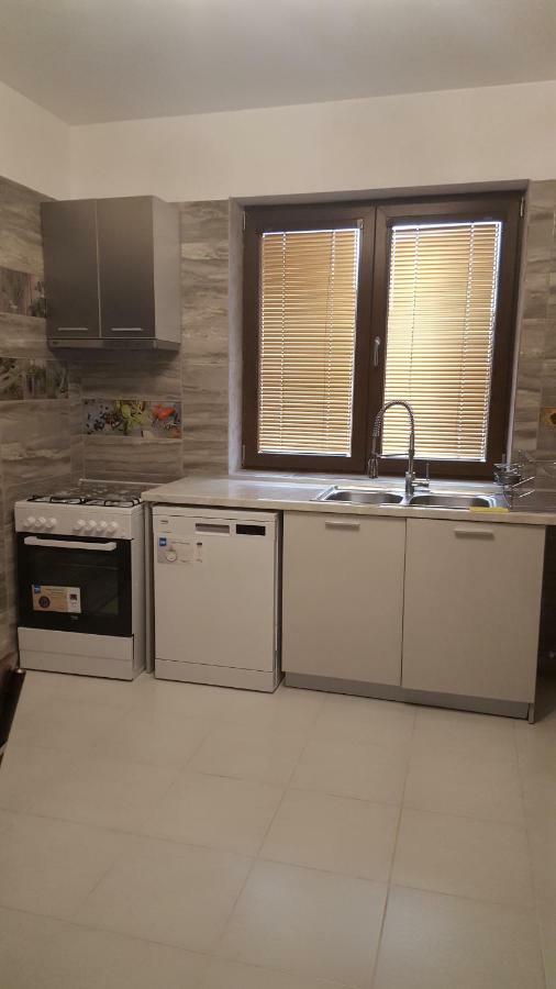 RoşuCasa Soareluiアパートメント エクステリア 写真