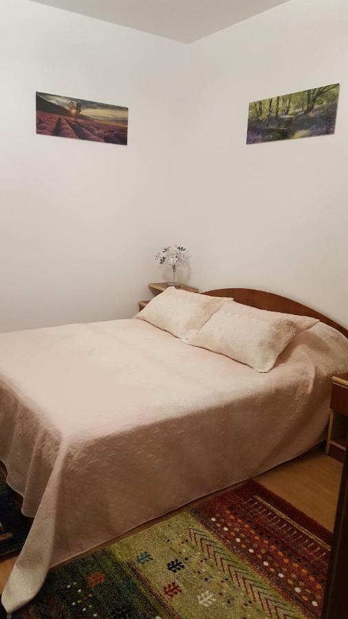 RoşuCasa Soareluiアパートメント エクステリア 写真